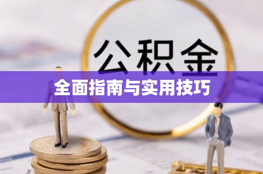 西固全面指南与实用技巧